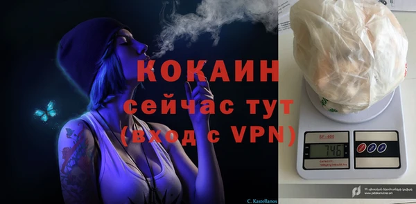 крисы Гусь-Хрустальный