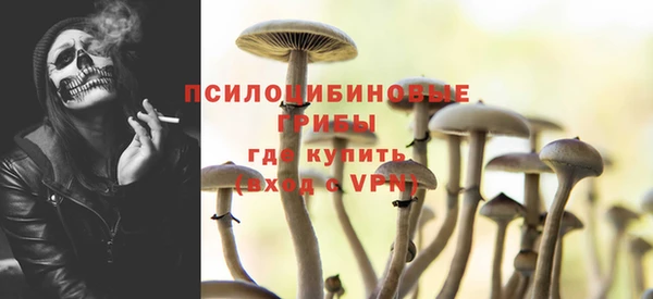 ПСИЛОЦИБИНОВЫЕ ГРИБЫ Гусиноозёрск