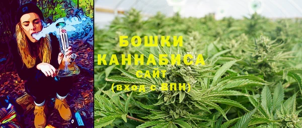 ПСИЛОЦИБИНОВЫЕ ГРИБЫ Гусиноозёрск