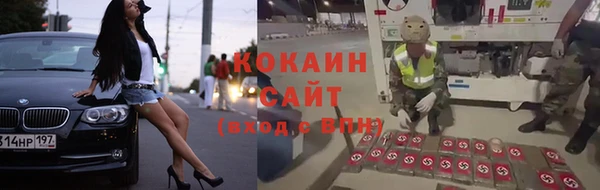 ПСИЛОЦИБИНОВЫЕ ГРИБЫ Гусиноозёрск