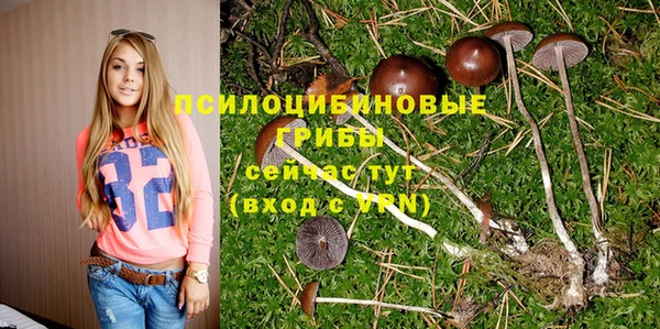 эйфоретик Гусев