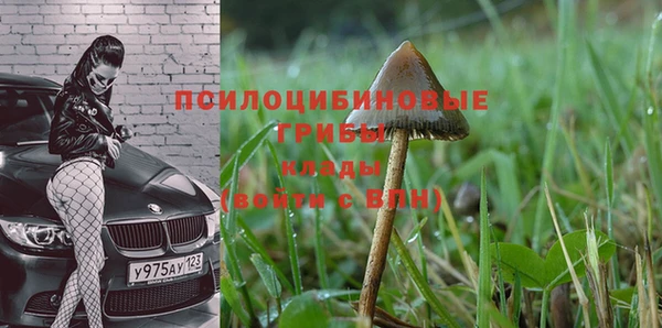 эйфоретик Гусев