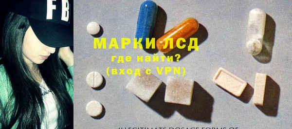 ПСИЛОЦИБИНОВЫЕ ГРИБЫ Гусиноозёрск