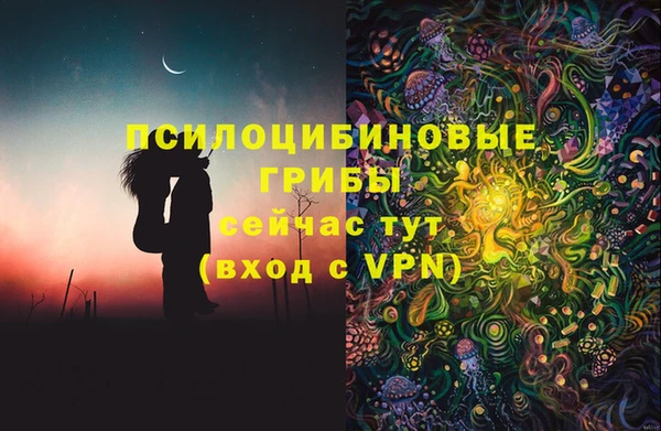 ПСИЛОЦИБИНОВЫЕ ГРИБЫ Гусиноозёрск