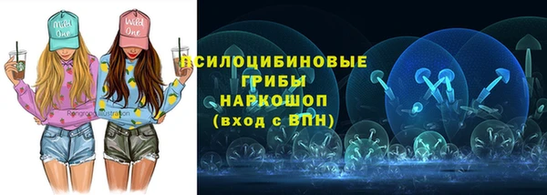 крисы Гусь-Хрустальный