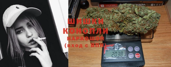 эйфоретик Гусев