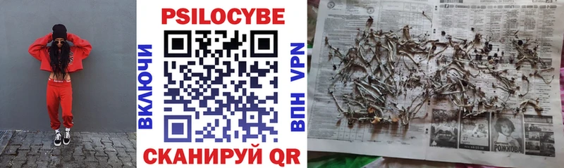 Псилоцибиновые грибы мицелий  Купить закладки  Олонец 